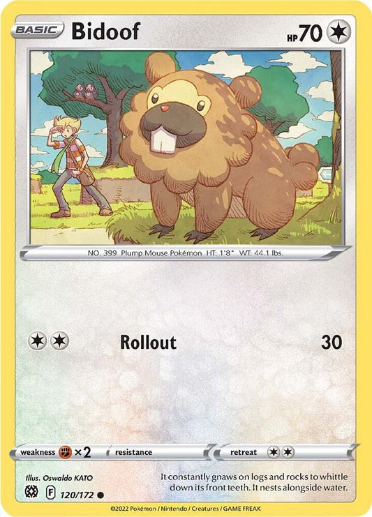 Bidoof 120/172 Common Brilliant Stars Pokémon card