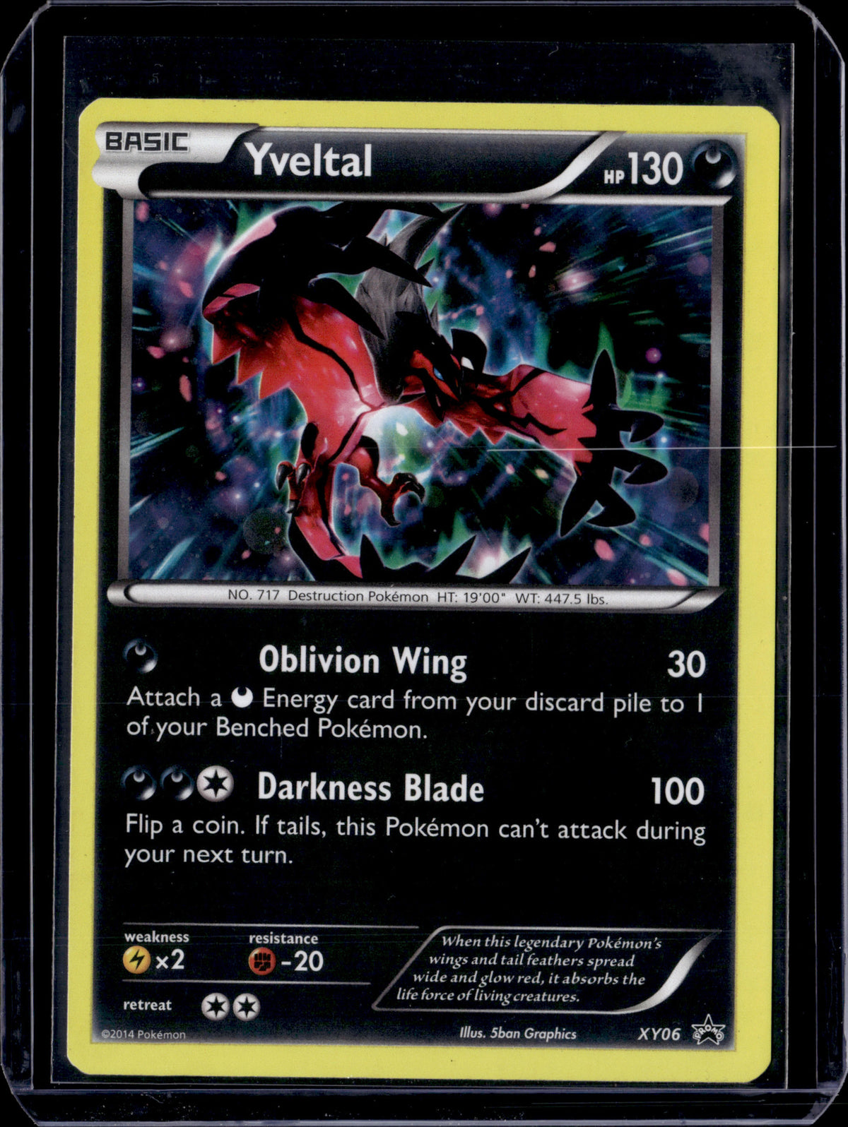 Yveltal - XY06 XY Promos #XY06 Holofoil Pokémon Card (front)