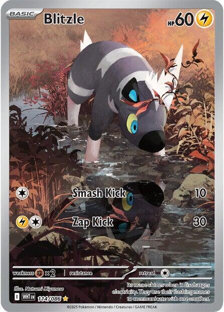 Blitzle - 114/086 114/086 Illustration Rare White Flare Pokémon card