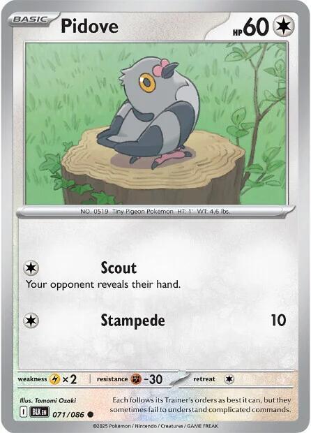 Pidove 071/086 Common Black Bolt Pokémon card