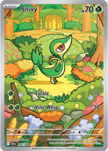 Snivy - 087/086 087/086 Illustration Rare Black Bolt Pokémon card
