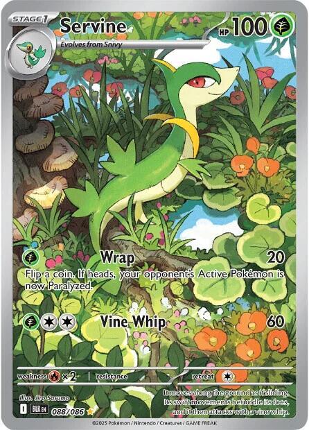 Servine - 088/086 088/086 Illustration Rare Black Bolt Pokémon card