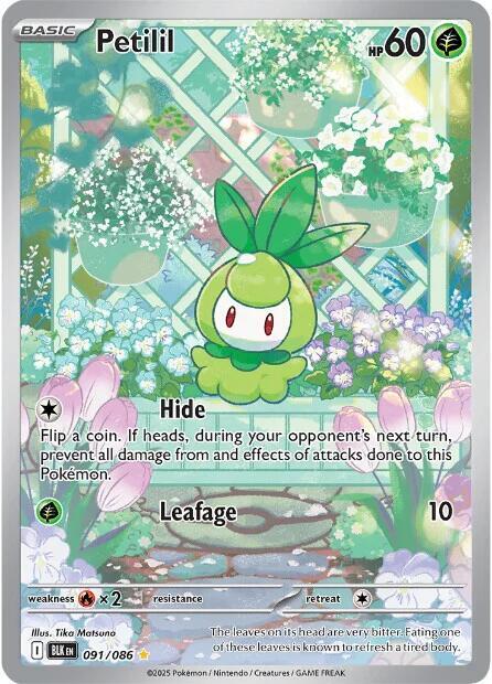 Petilil - 091/086 091/086 Illustration Rare Black Bolt Pokémon card