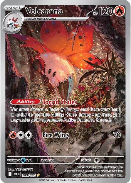 Volcarona - 100/086 100/086 Illustration Rare Black Bolt Pokémon card