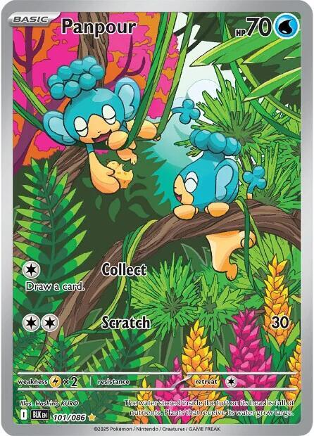 Panpour - 101/086 101/086 Illustration Rare Black Bolt Pokémon card