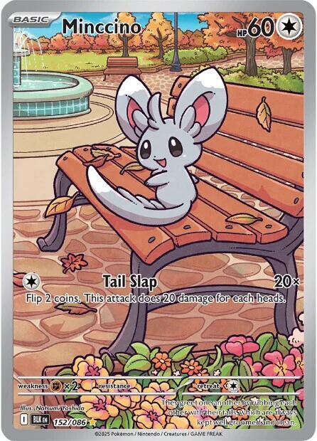 Minccino - 152/086 152/086 Illustration Rare Black Bolt Pokémon card