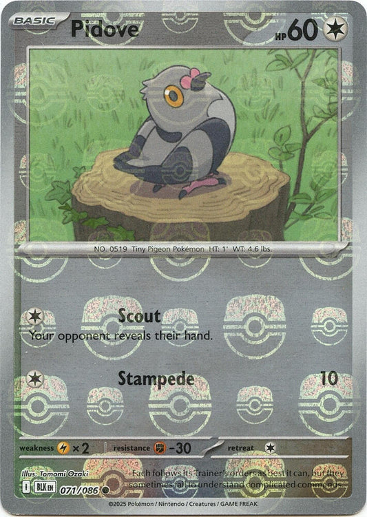 Pidove (Master Ball Pattern) 071/086 Common Black Bolt Pokémon card