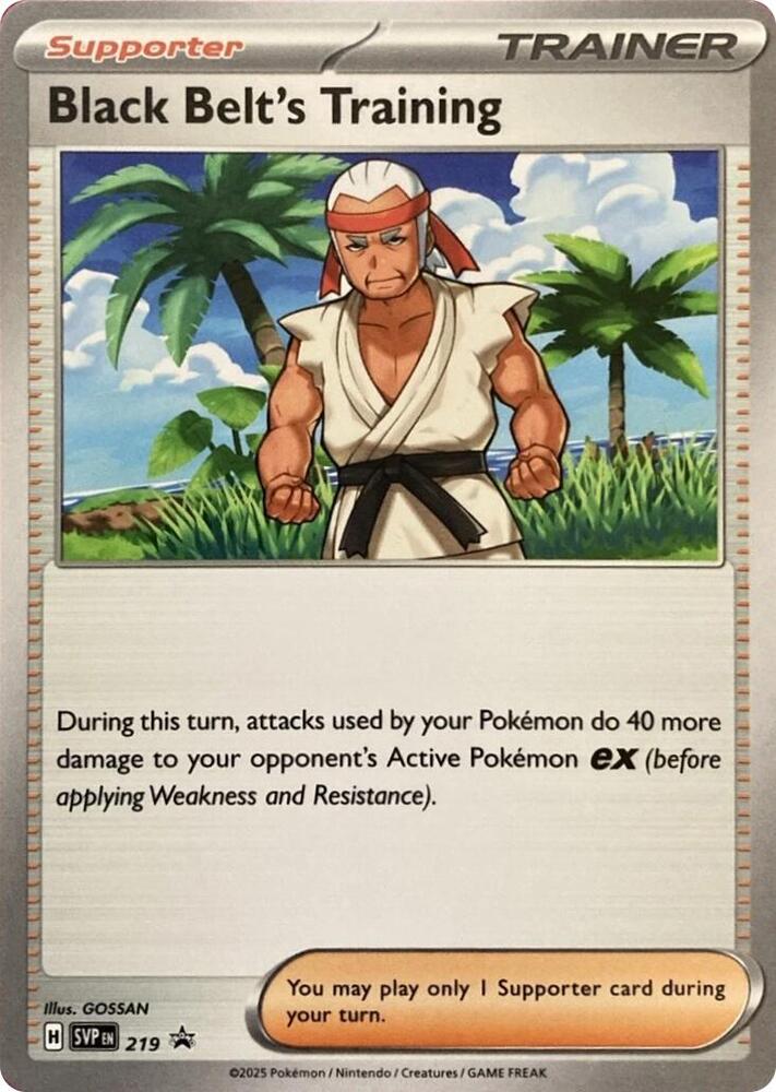 Black Belt's Training - 219 219 Promo Scarlet & Violet Promo Cards Pokémon card