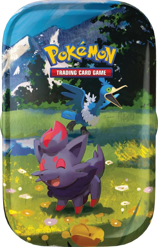 Ascended Heroes Mini Tin [Zorua & Cramorant] Pokémon card