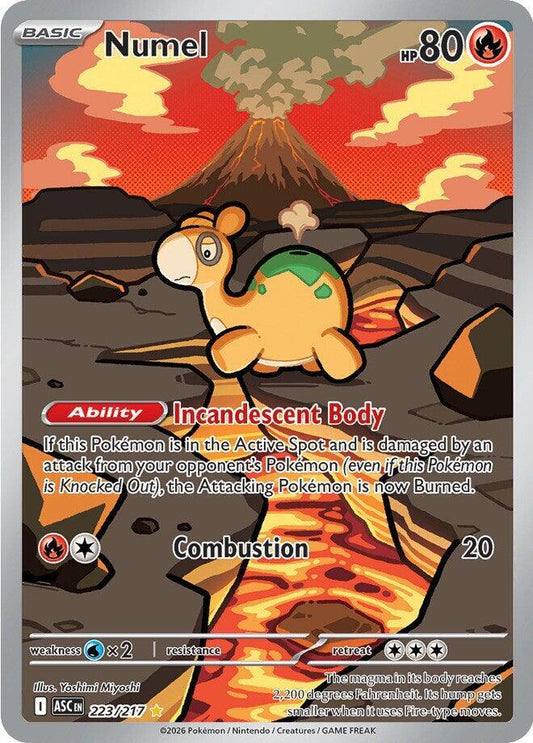 Numel - 223/217 223/217 Illustration Rare Ascended Heroes Pokémon card