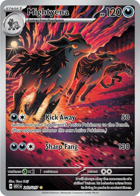 Mightyena - 243/217 243/217 Illustration Rare Ascended Heroes Pokémon card
