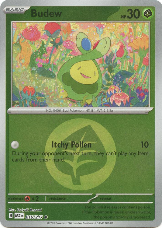Budew - 016/217 (Energy Symbol Pattern) 016/217 Common Ascended Heroes Pokémon card