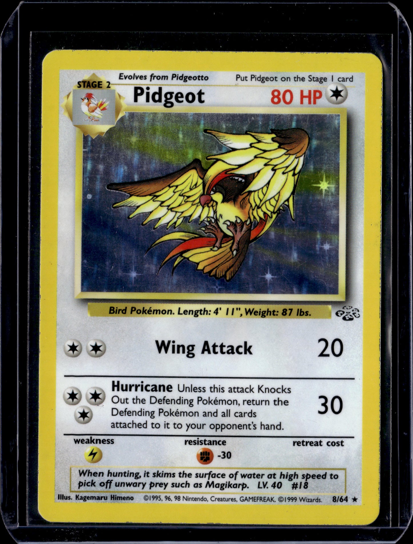 Pidgeot (8) Jungle #08/64 Unlimited Holofoil Pokémon Card (front)