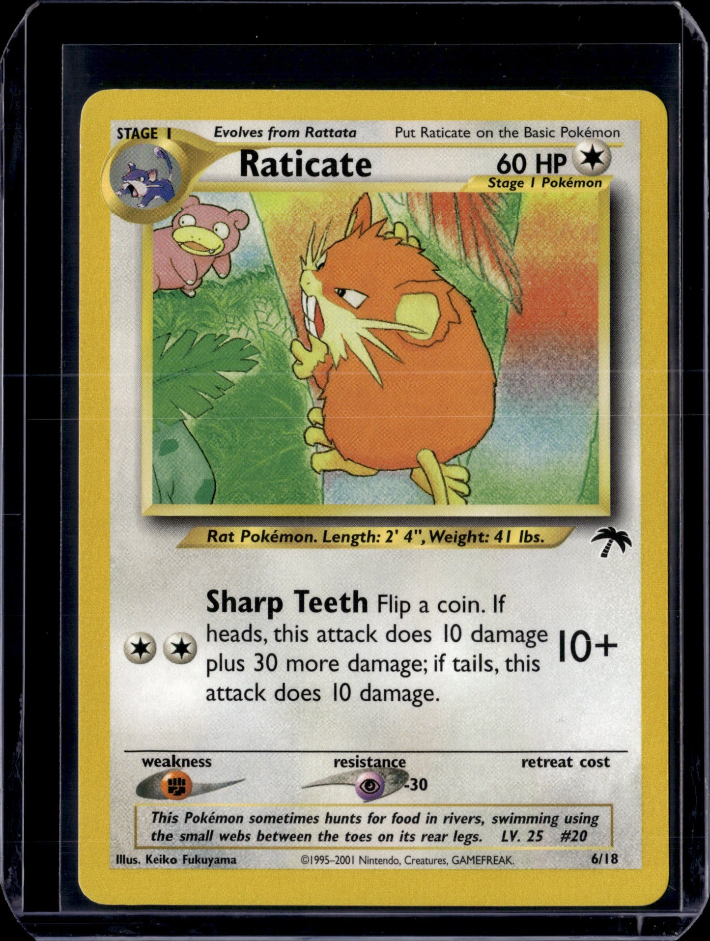 Raticate Southern Islands #06/18 Normal Pokémon Card (front)
